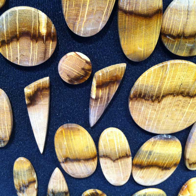 10+ Way Cool Cabochons from Around the World Seen in Tucson. fossilized oak wood is known as golden oak. According to Barlows Gems, where I saw these cabs at the Arizona Mineral & Fossil Show