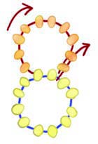 How to Stitch Hexagonal Netting with Seed Beeds