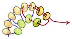 How to Stitch Corkscrew Tendrils, a bead weaving stitch and great addition to any design.