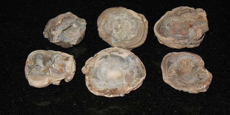 Rock Hunting: Southern New Mexico Chalcedony Rock Hunting: Southern New Mexico Chalcedony
