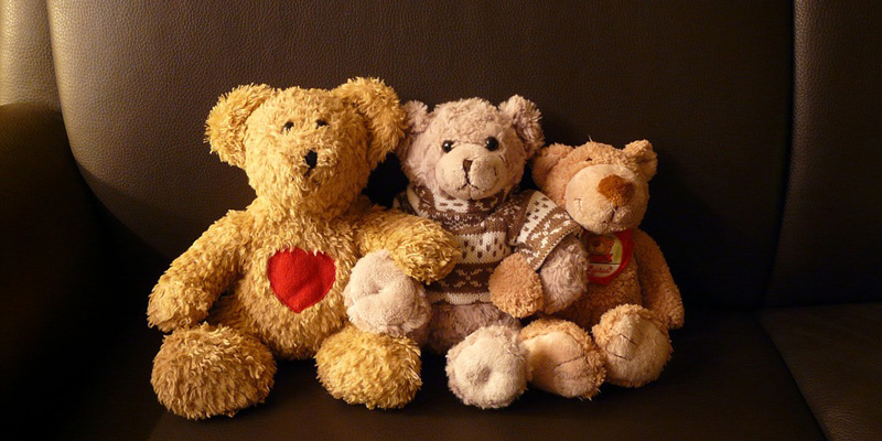 From Scary to Snuggly: The History of the Teddy Bear From Scary to Snuggly: The History of the Teddy Bear