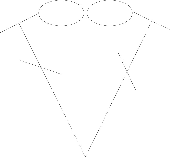 V-Stitch
