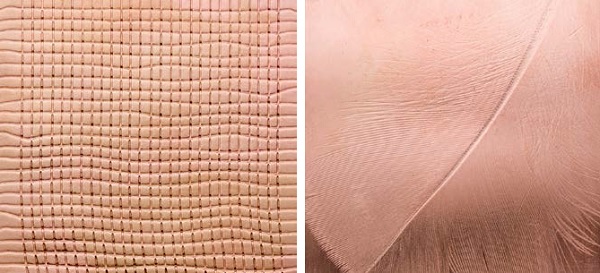 Texturing metal ideas are endless. The left sample shows a window screen sandwiched between a brass and copper sheet. The right sample shows a feather sandwiched between a copper and brass sheet.