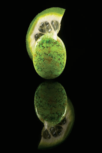 How to Photograph Your Jewelry in a Better Light: Tips from Professional Photographer Azur Mele